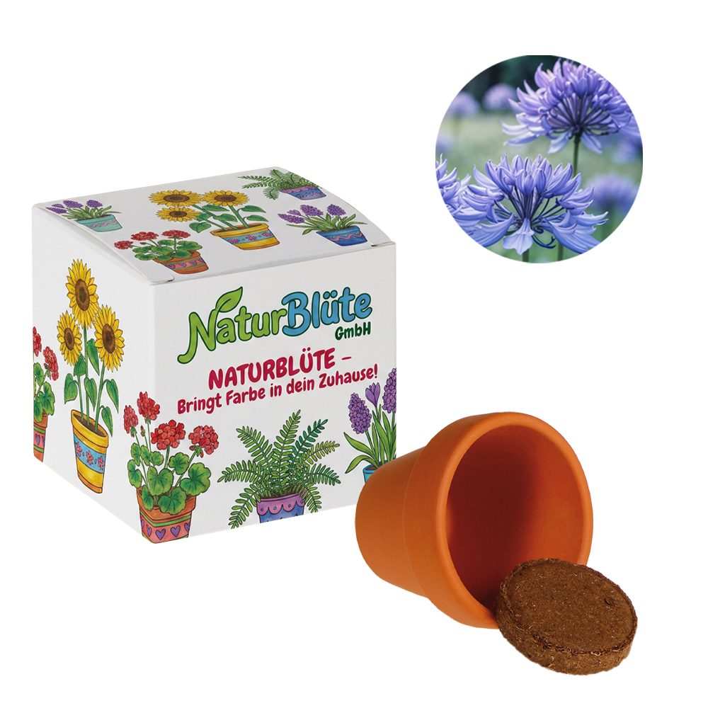 Werbepower-Samenwürfel (weißes Papier), Kornblume