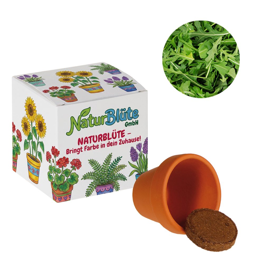 Werbepower-Samenwürfel (weißes Papier), Rucola