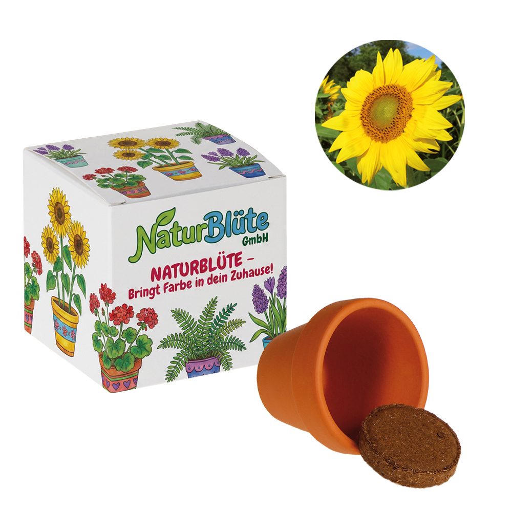 Werbepower-Samenwürfel (weißes Papier), Sonnenblume