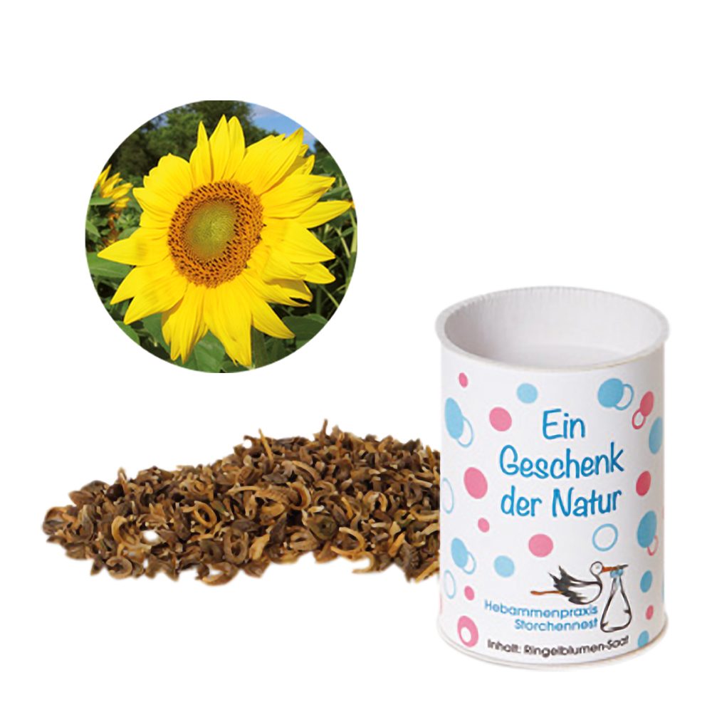 Werbetrommel, Sonnenblume