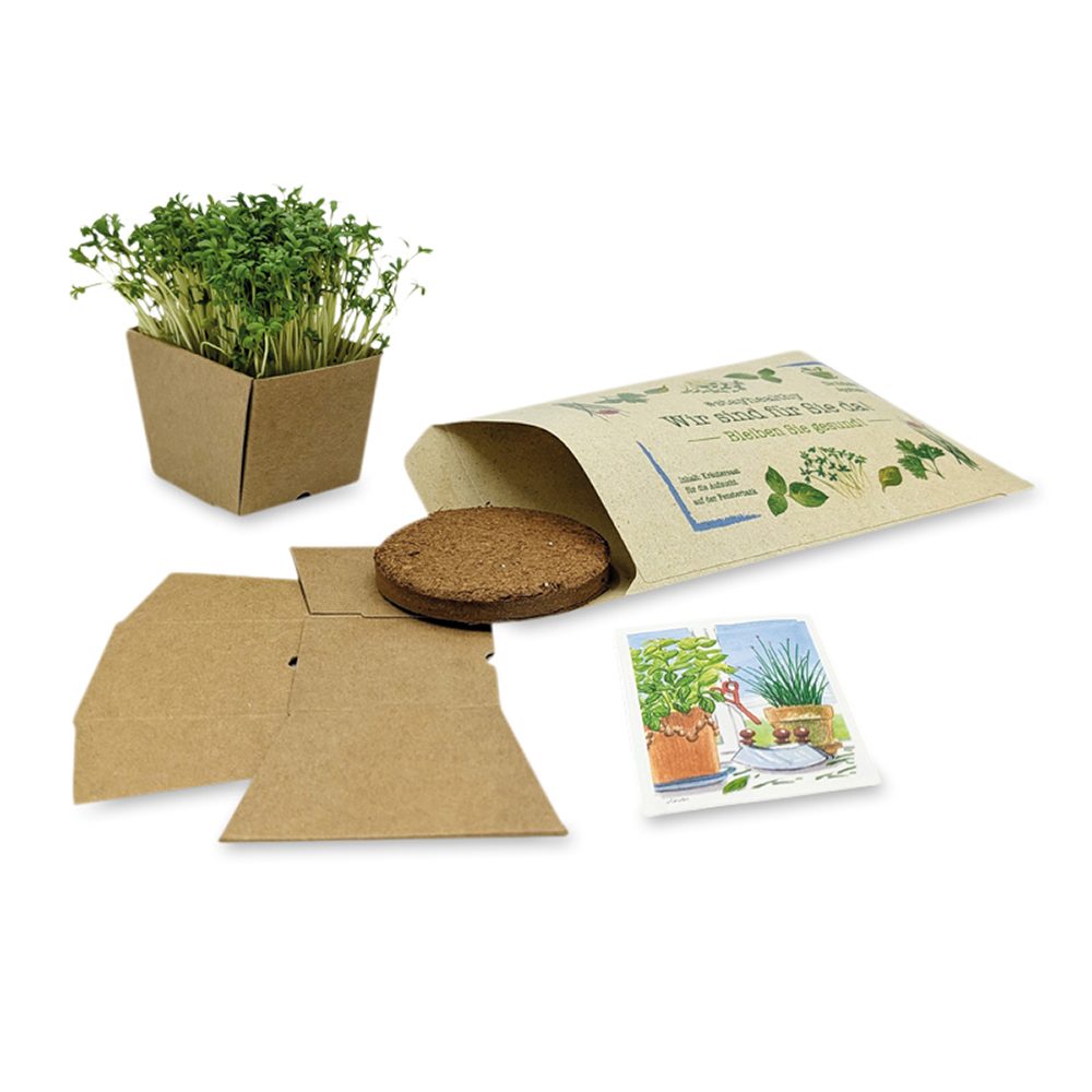 "Wünsch-Dir-Was" Samen-Pflanzset, (Graspapier) Kresse