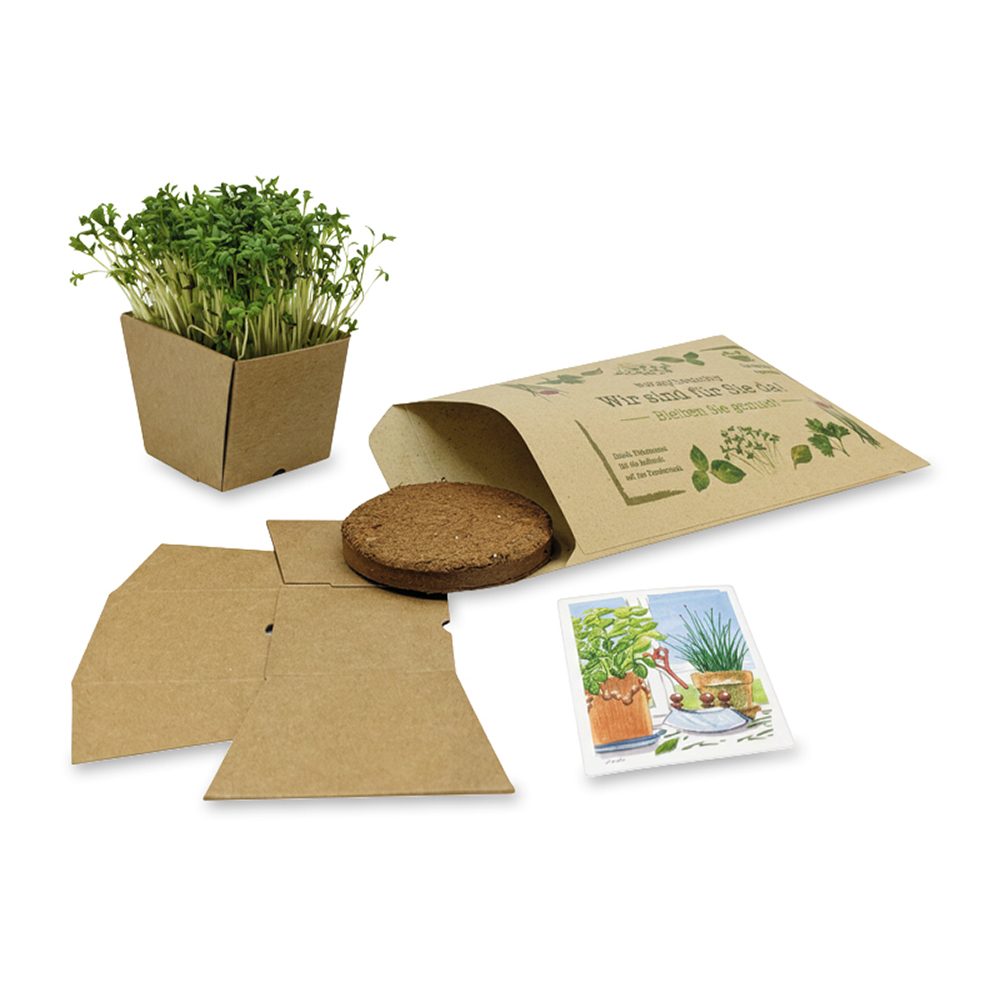 "Wünsch-Dir-Was" Samen-Pflanzset, (Kraftpapier) Kresse