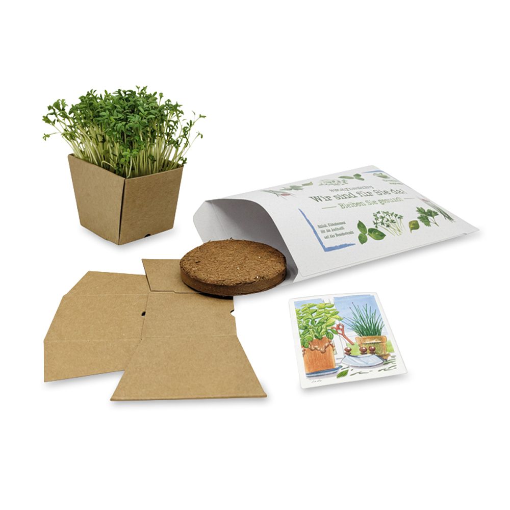 "Wünsch-Dir-Was" Samen-Pflanzset, (Recyclingpapier) Kresse