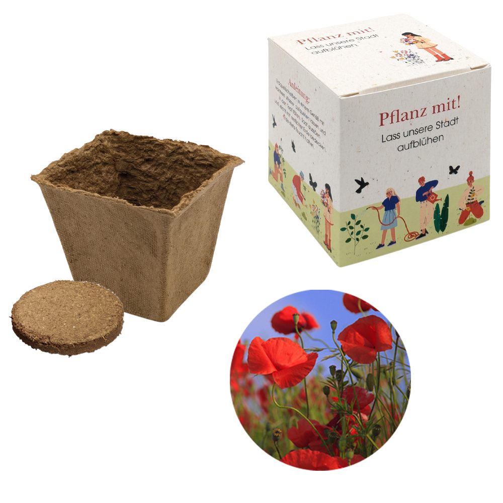 Würfel Samenpflanzset (groß), Mohn