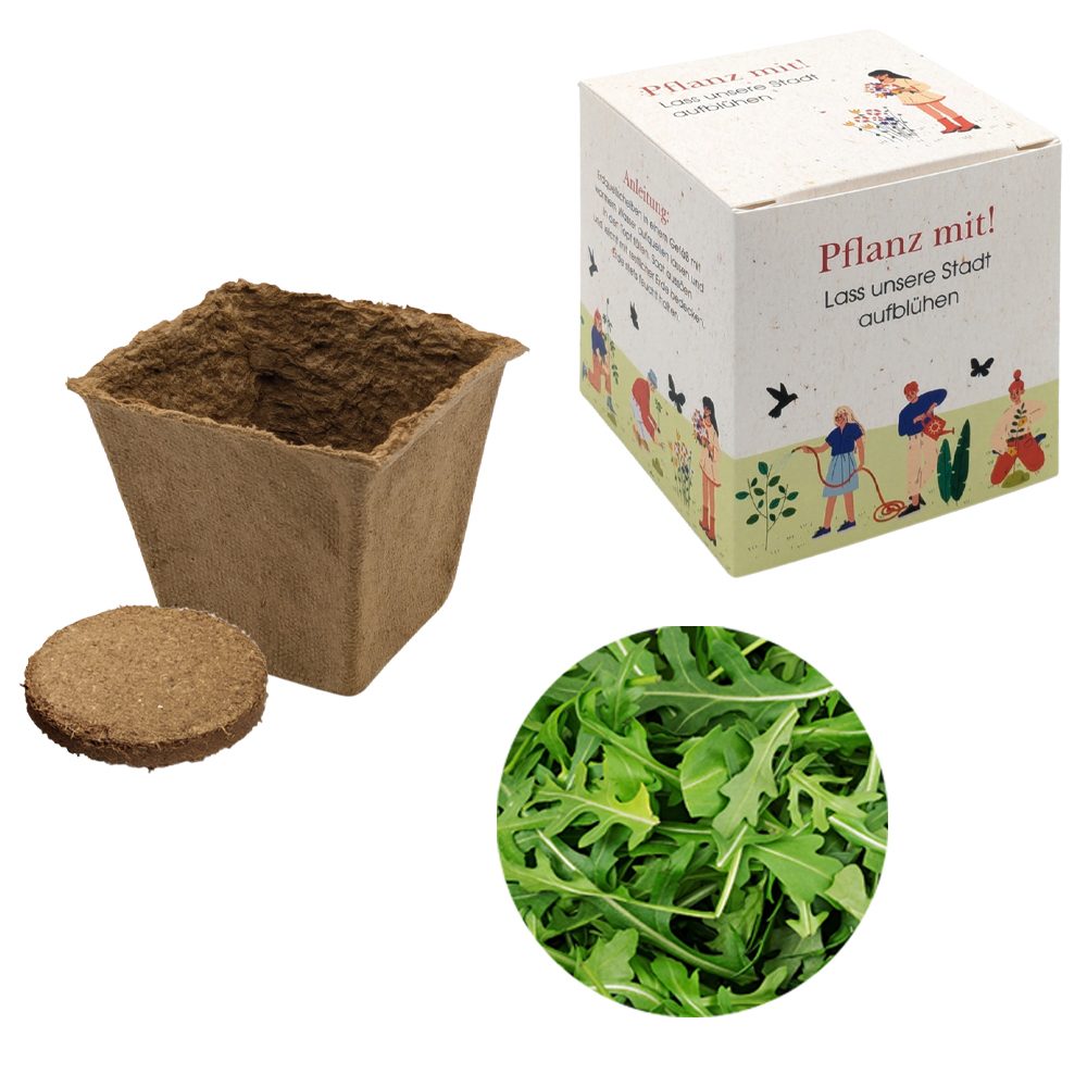 Würfel Samenpflanzset (groß), Rucola