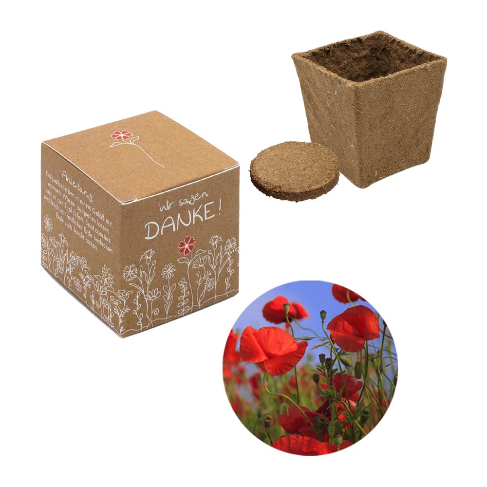 Würfel Samenpflanzset (klein), Mohn