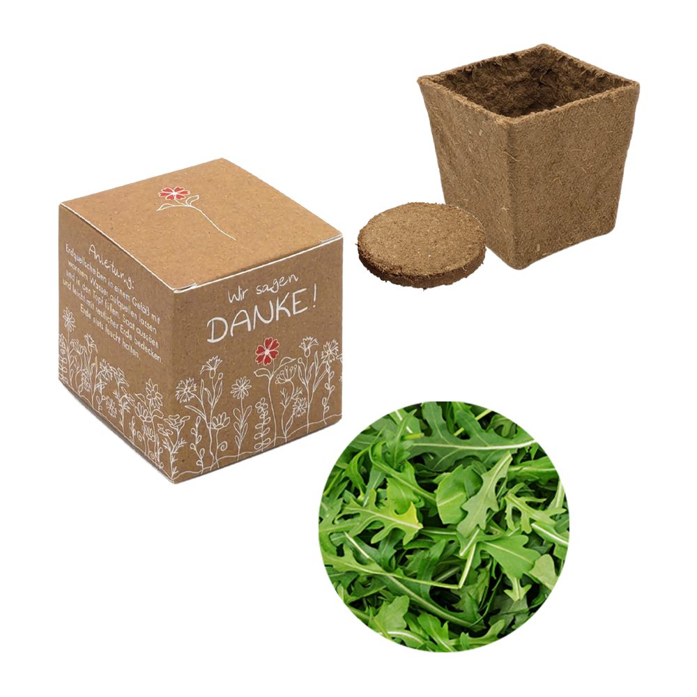Würfel Samenpflanzset (klein), Rucola