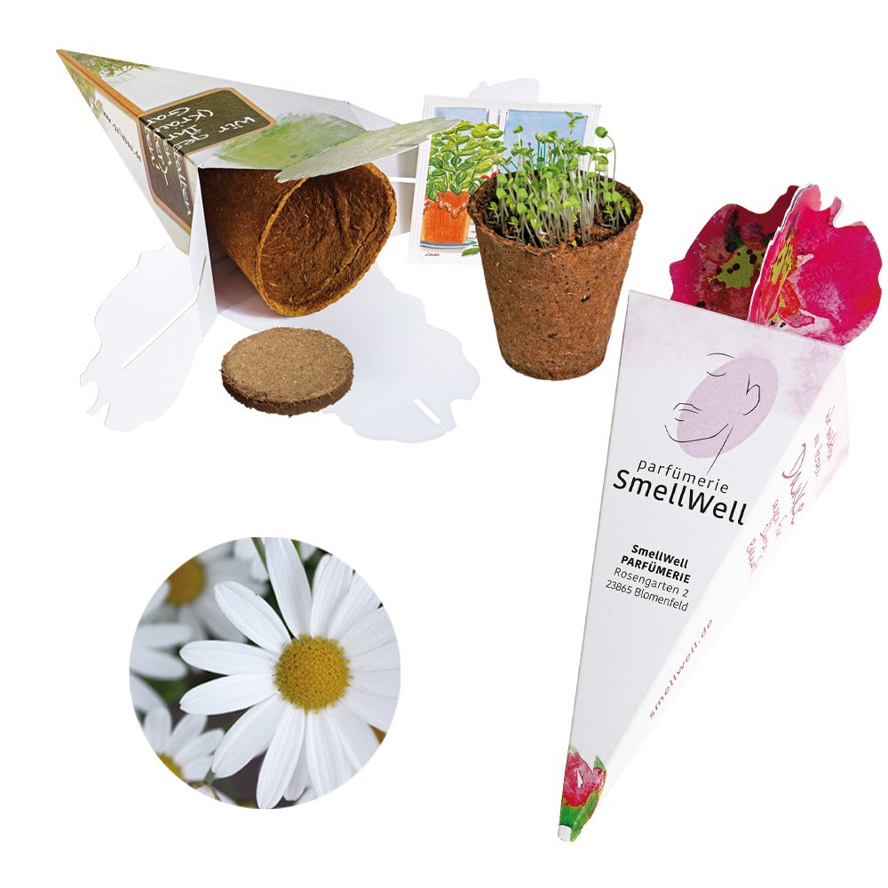 Zaubertüte - Samenset, Margerite