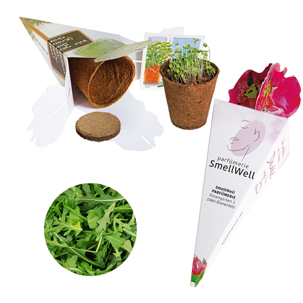 Zaubertüte - Samenset, Rucola