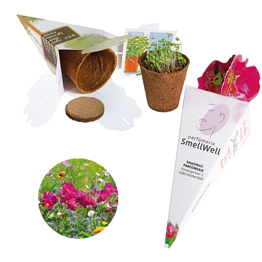Zaubertüte - Samenset, Sommerblumenmischung