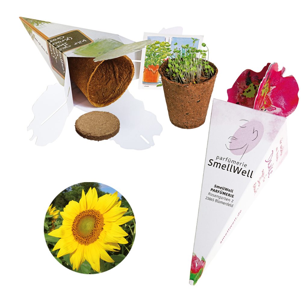 Zaubertüte - Samenset, Sonnenblume