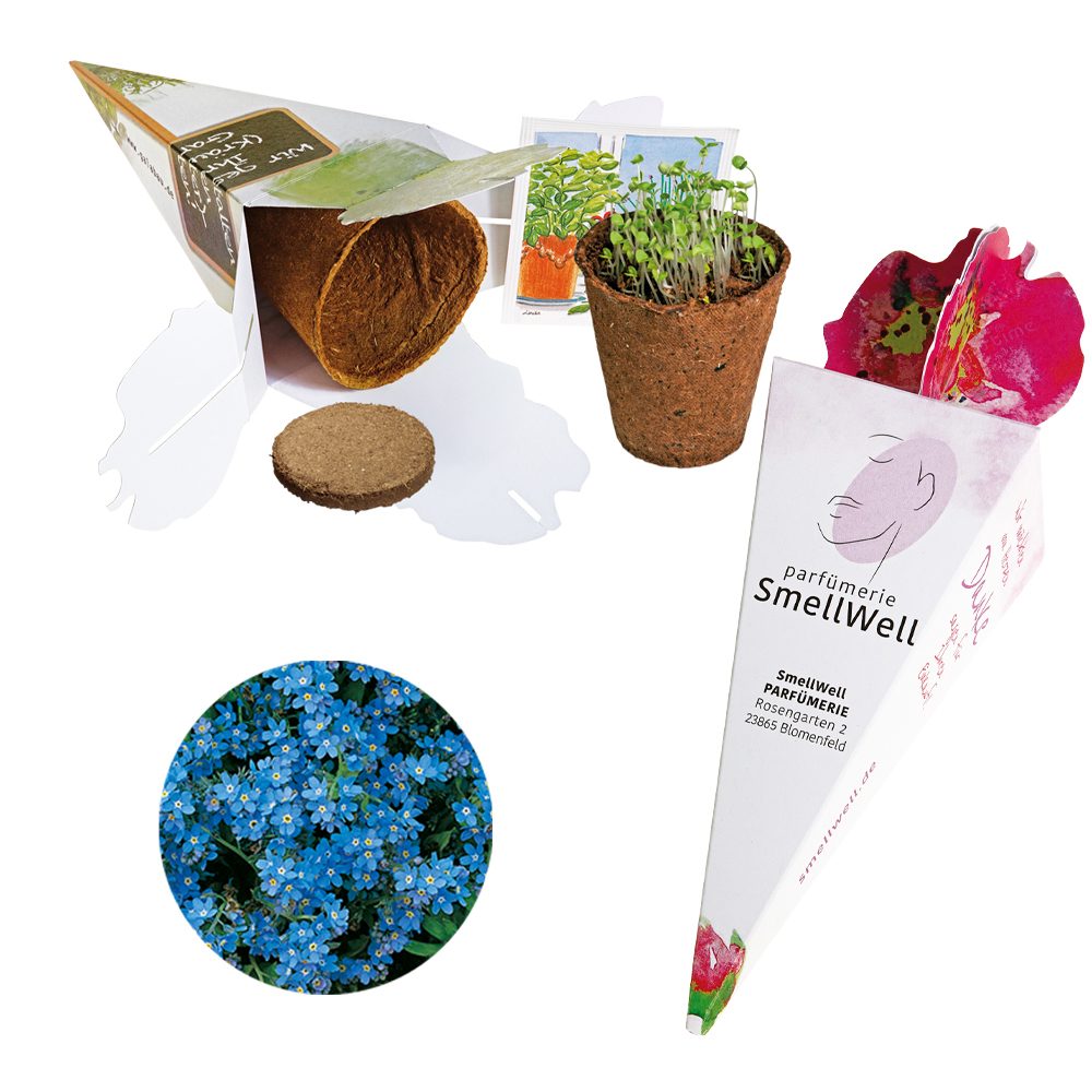 Zaubertüte - Samenset, Vergissmeinnicht