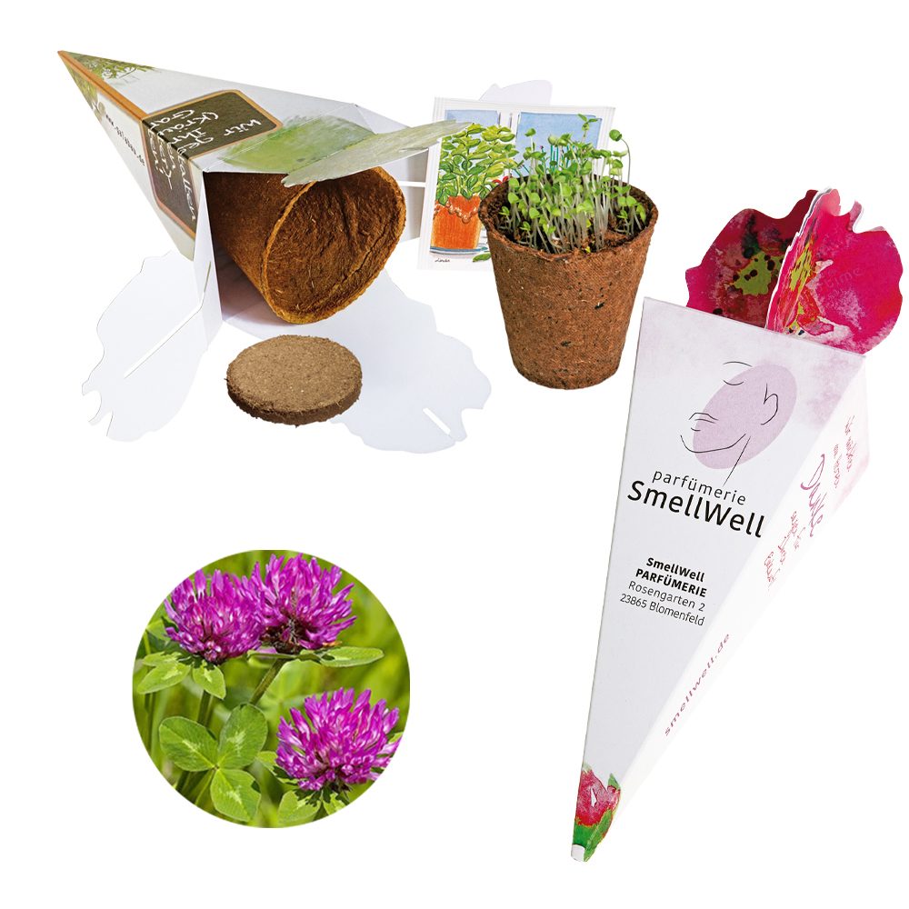Zaubertüte - Samenset, Wiesenklee
