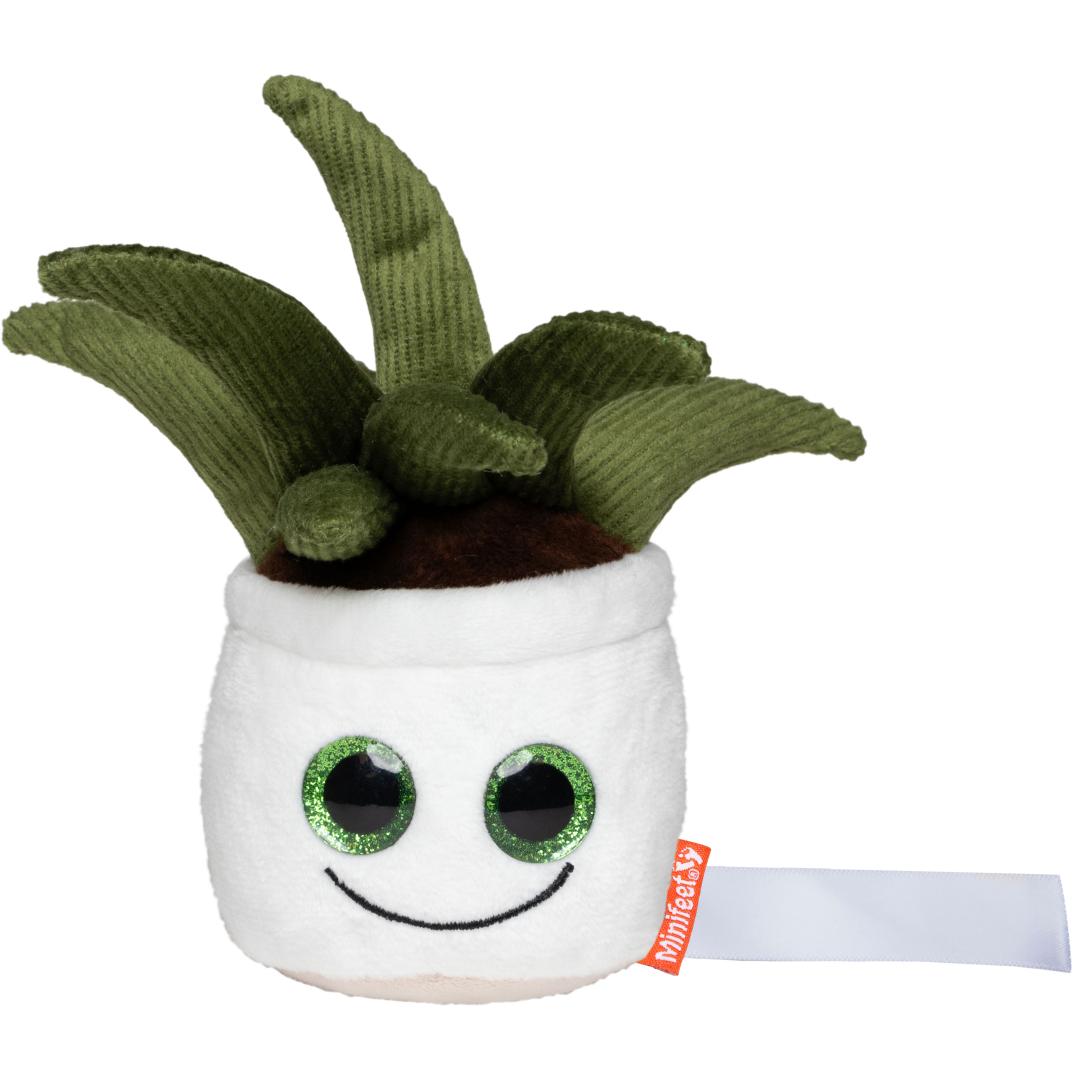 Schmoozies® Evergreenies® Aloe Vera, MiniFeet®