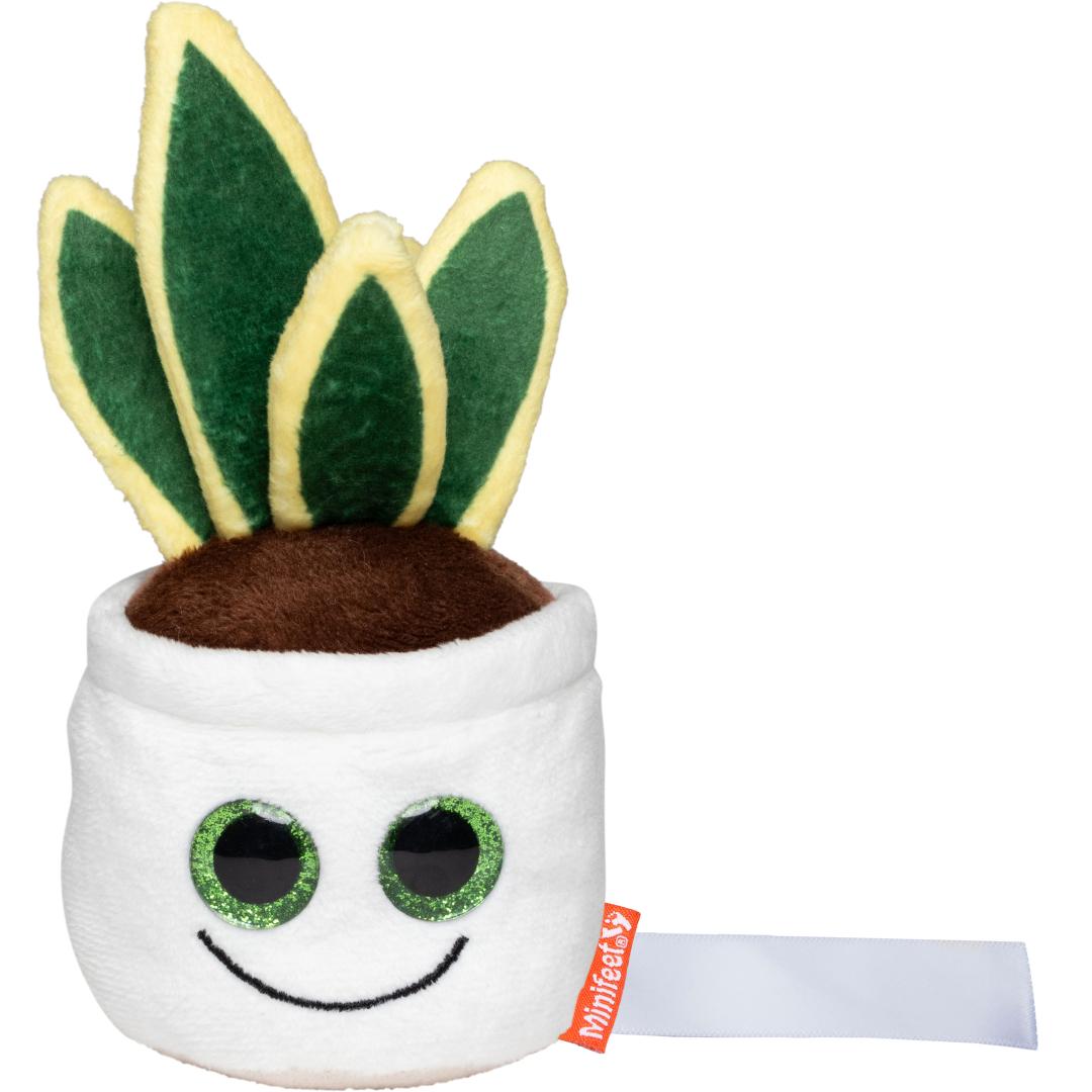 Schmoozies® Evergreenies® Bogenhanf, MiniFeet®
