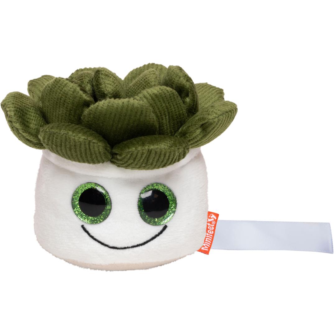 Schmoozies® Evergreenies® Sukkulente, MiniFeet®