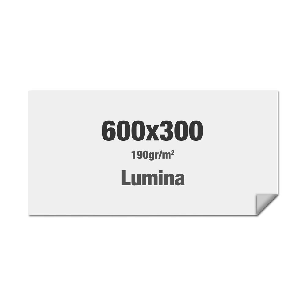 Brightbox Pro Flex Wand 600 x 300 cm Print Lumina, Showdown Displays