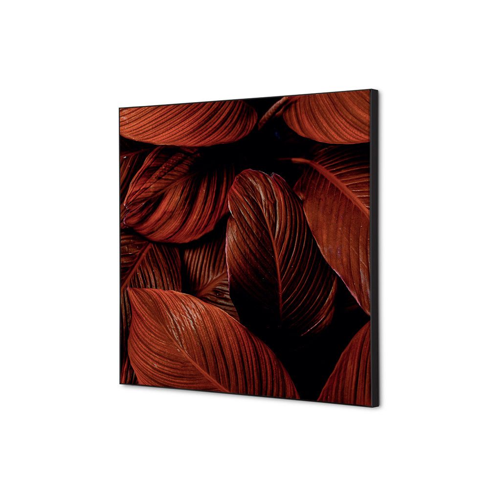 Spannstoff Wanddekoration SET 40 x 40 Motiv „Botanische Blätter“ Rot, Showdown Displays