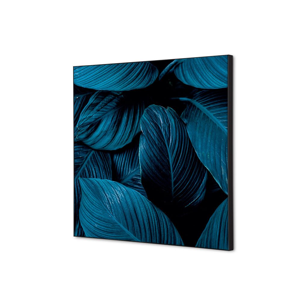 Spannstoff Wanddekoration SET 40 x 40 Motiv „Botanische Blätter“ Blau, Showdown Displays