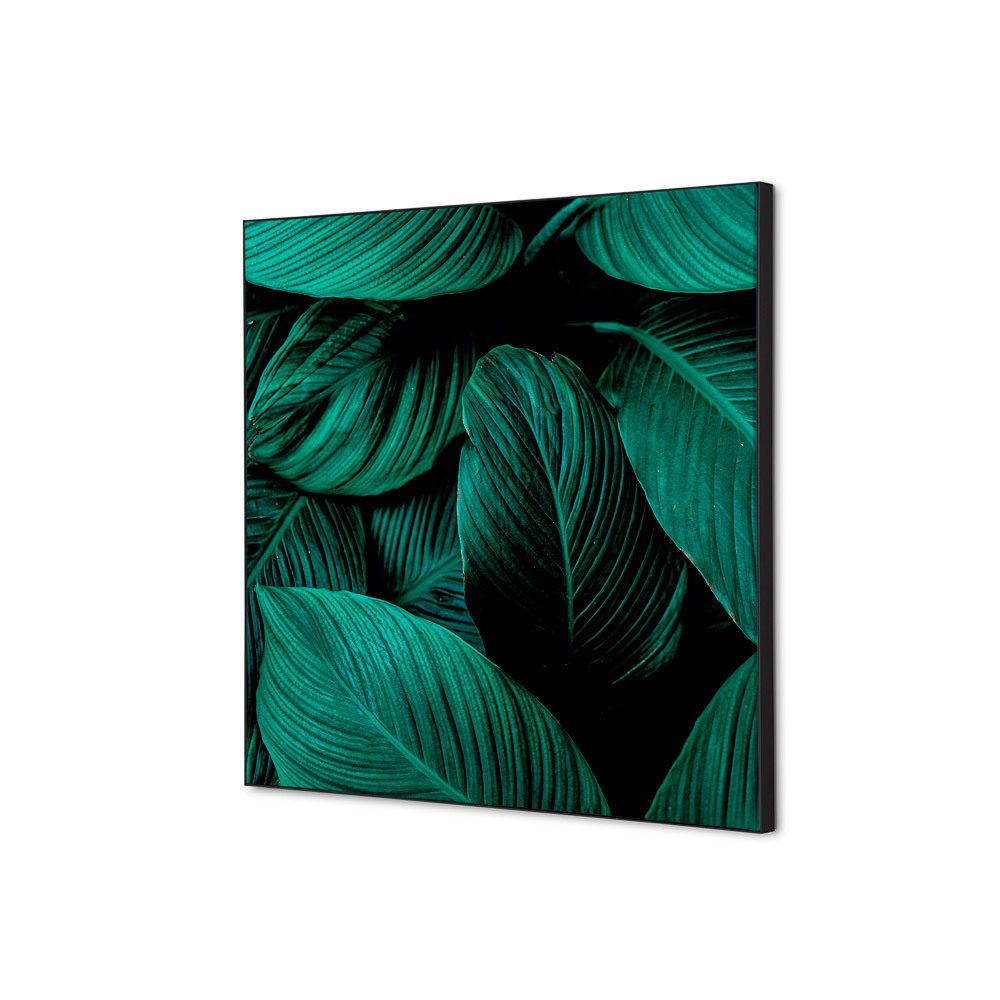 Spannstoff Wanddekoration SET 40 x 40 Motiv „Botanische Blätter“ Grün, Showdown Displays