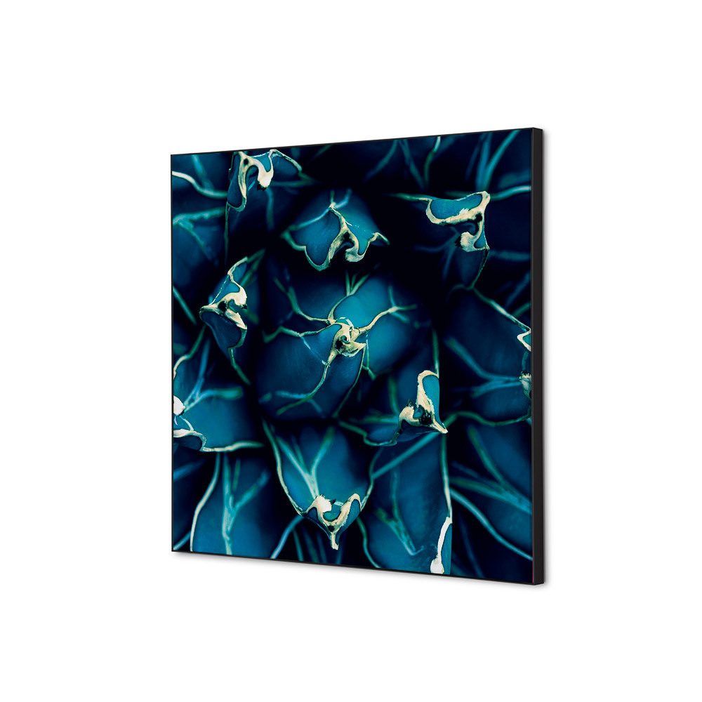 Spannstoff Wanddekoration SET 40 x 40 Motiv „Kaktus“ Blau, Showdown Displays