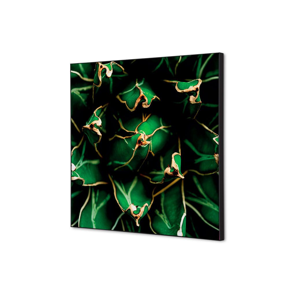 Spannstoff Wanddekoration SET 40 x 40 Motiv „Kaktus“ Grün, Showdown Displays