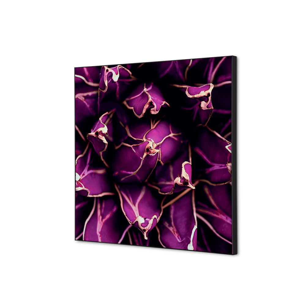 Spannstoff Wanddekoration SET 40 x 40 Motiv „Kaktus“ Lila, Showdown Displays