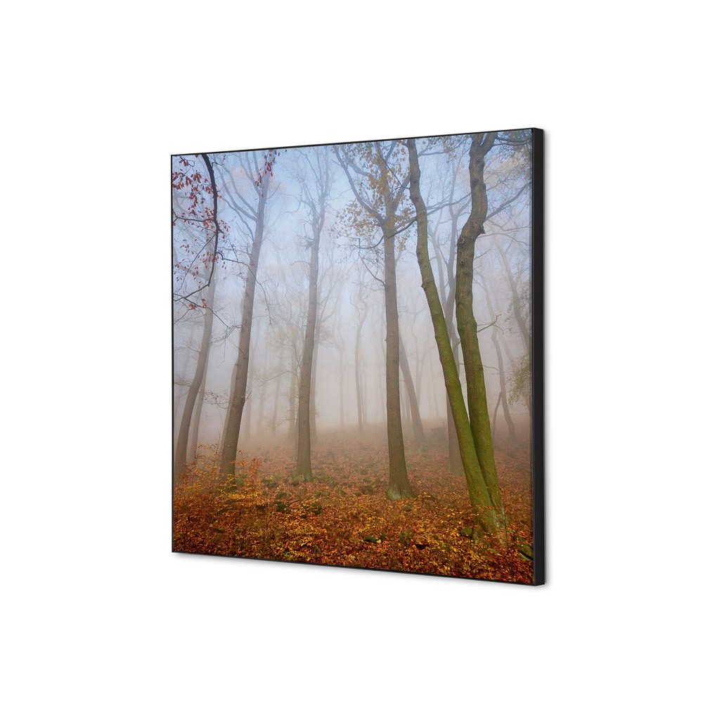 Spannstoff Wanddekoration SET 40 x 40 Motiv „Herbstnebel“, Showdown Displays