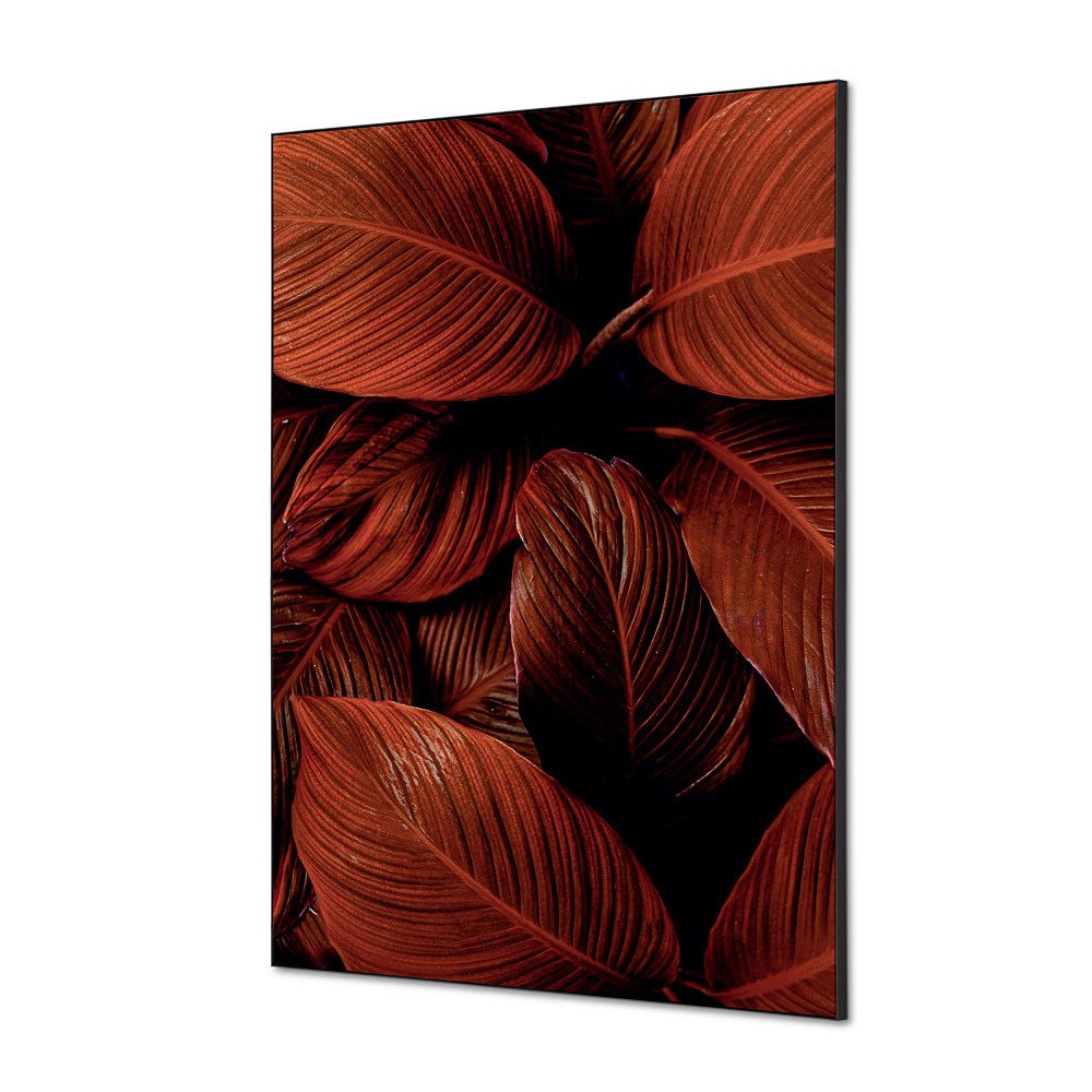 Spannstoff Wanddekoration SET A1 Motiv „Botanische Blätter“ Rot, Showdown Displays