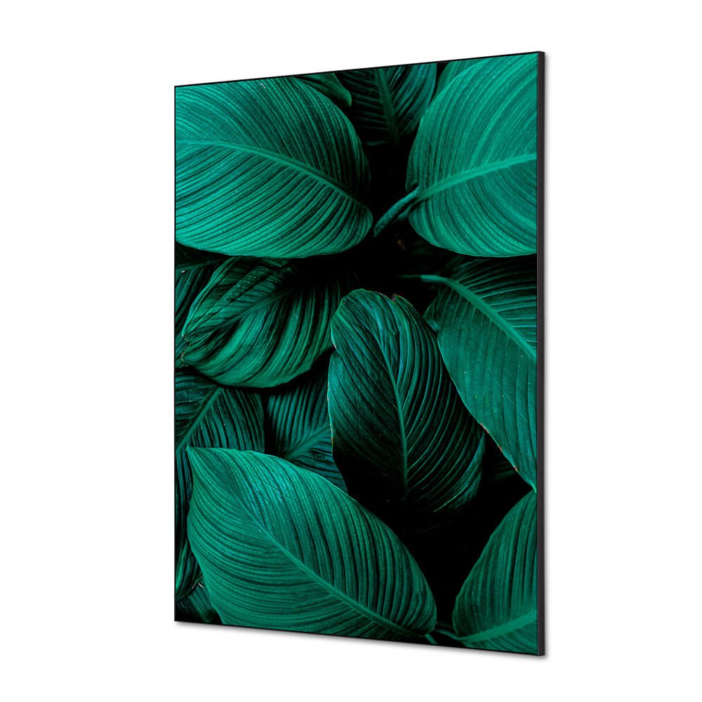 Spannstoff Wanddekoration SET A1 Motiv „Botanische Blätter“ Grün, Showdown Displays