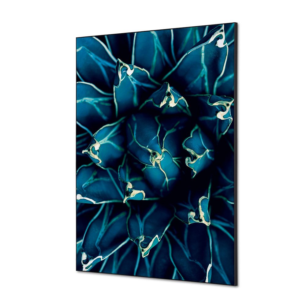 Spannstoff Wanddekoration SET A1 Motiv „Kaktus“ Blau, Showdown Displays