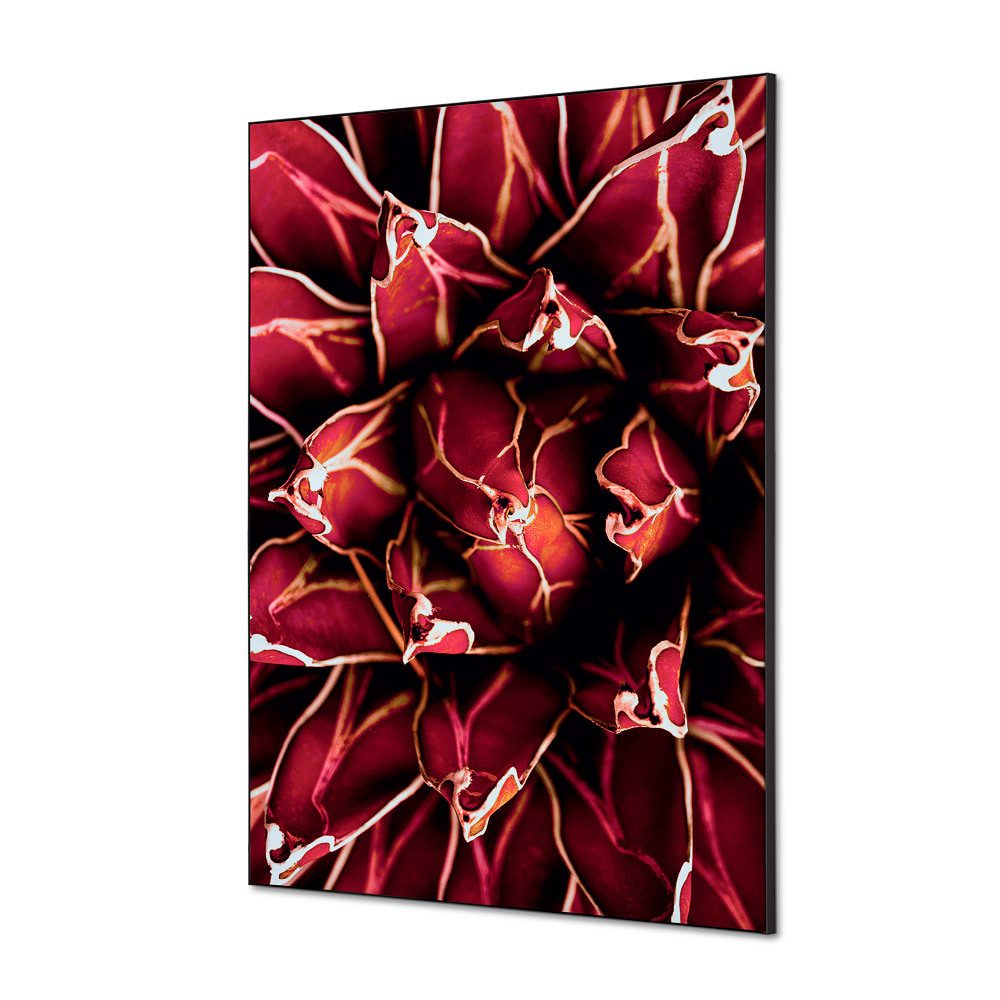 Spannstoff Wanddekoration SET A1 Motiv „Kaktus“ Rot, Showdown Displays