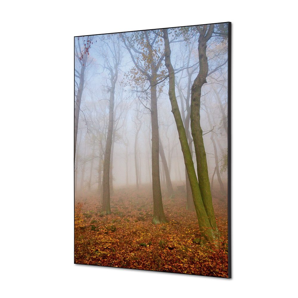 Spannstoff Wanddekoration SET A1 Motiv „Herbstnebel“, Showdown Displays