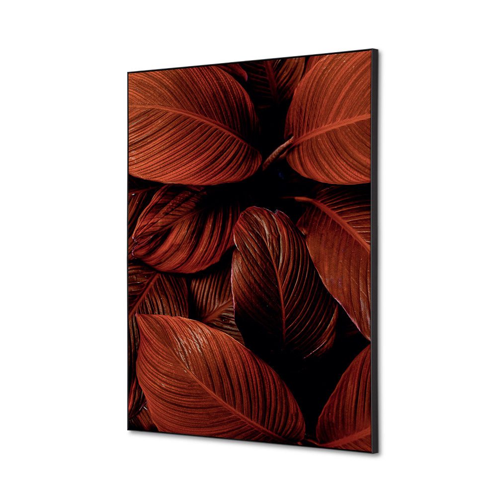 Spannstoff Wanddekoration SET A2 Motiv „Botanische Blätter“ Rot, Showdown Displays