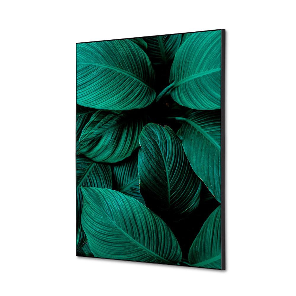 Spannstoff Wanddekoration SET A2 Motiv „Botanische Blätter“ Grün, Showdown Displays