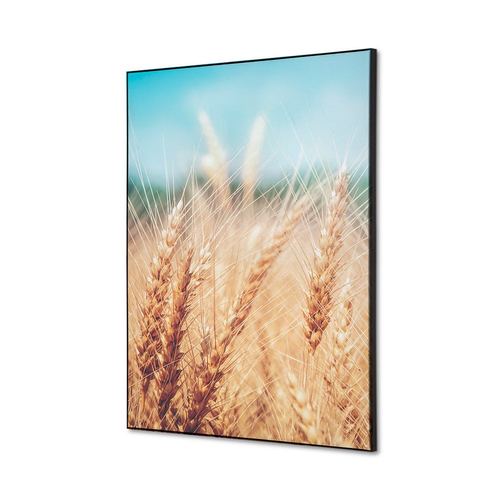 Spannstoff Wanddekoration SET A2 Motiv „Getreidefeld“, Showdown Displays