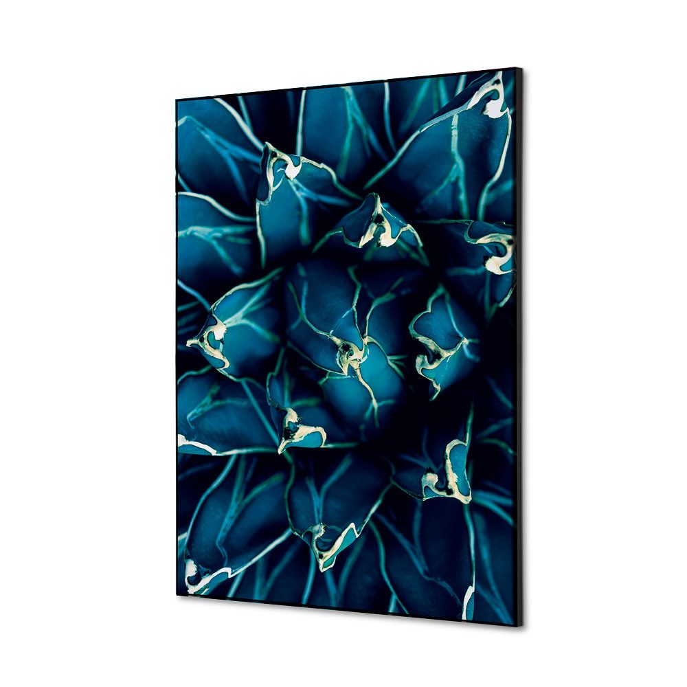 Spannstoff Wanddekoration SET A2 Motiv „Kaktus“ Blau, Showdown Displays