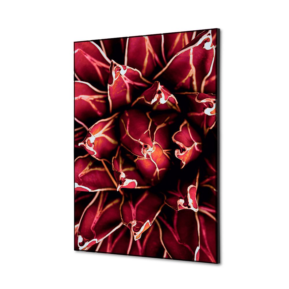 Spannstoff Wanddekoration SET A2 Motiv „Kaktus“ Rot, Showdown Displays