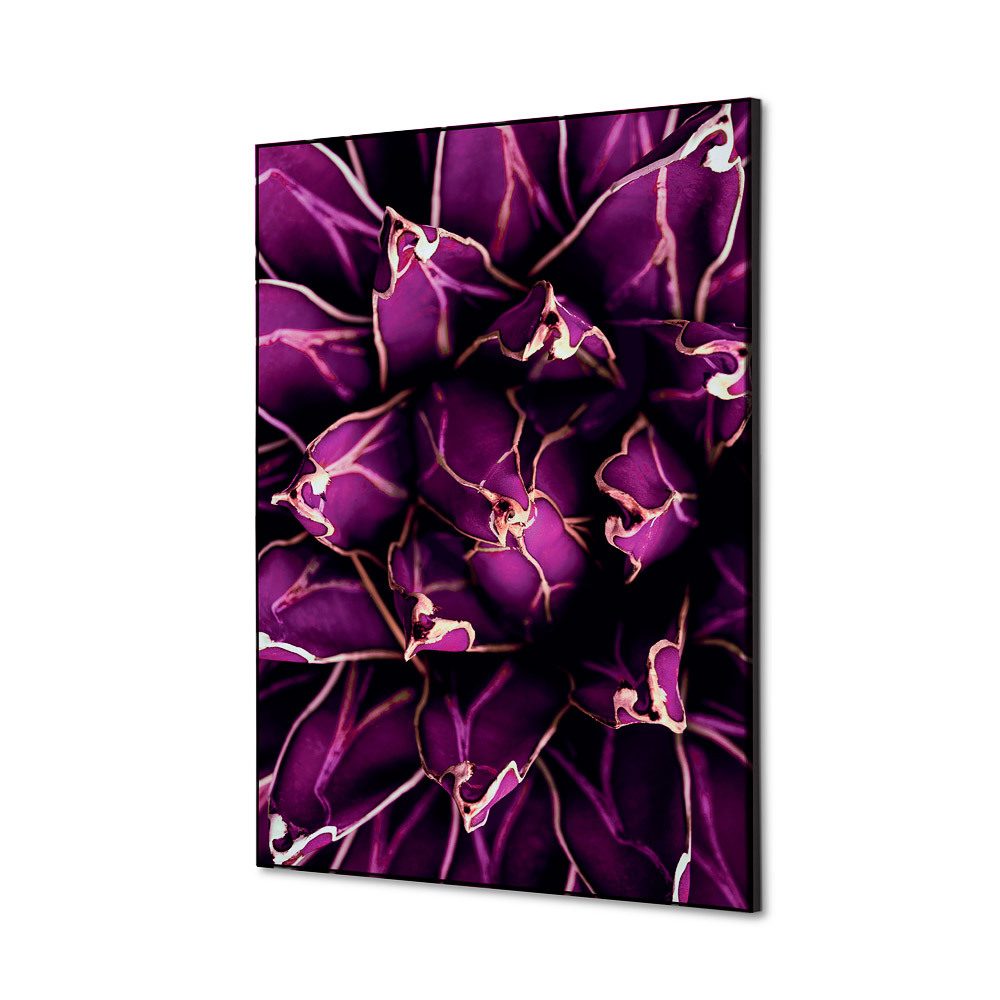 Spannstoff Wanddekoration SET A2 Motiv „Kaktus“ Lila, Showdown Displays