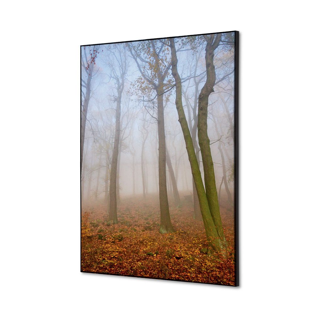 Spannstoff Wanddekoration SET A2 Motiv „Herbstnebel“, Showdown Displays