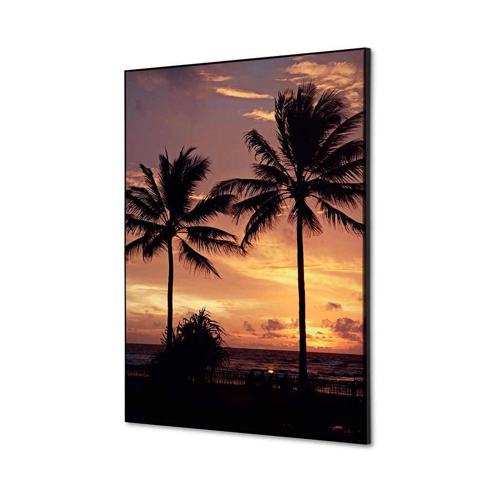 Spannstoff Wanddekoration SET A2 Motiv „Palmen Sonnenuntergang“, Showdown Displays