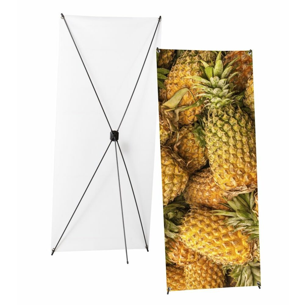X-Banner Budget 80 x 180 cm, Showdown Displays